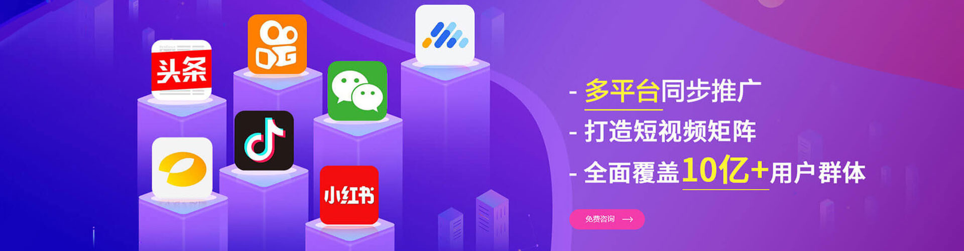 六龟信息流托管
